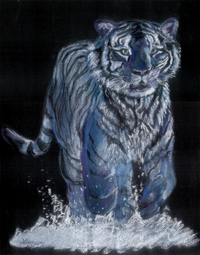 Tigris a vzben