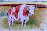 Dekadens tehn