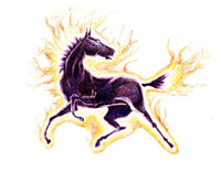 Tzparipa