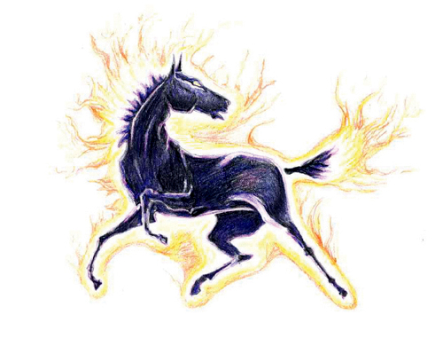 Tzparipa