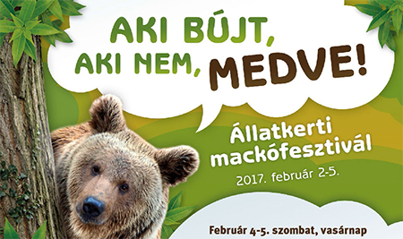 mackfesztivl plakt