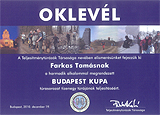 Budapestkupa