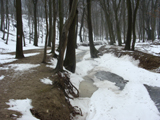 Gaja-szurdok